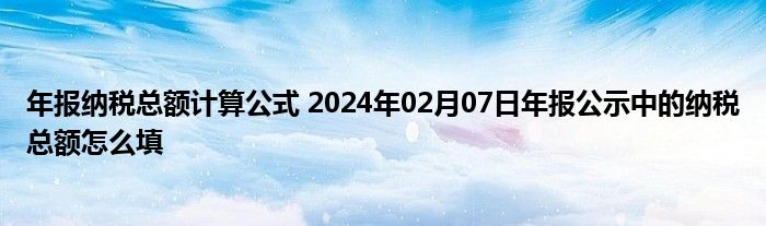 年报纳税总额计算公式 2024年02月07日年报公示中的纳税总额怎么填