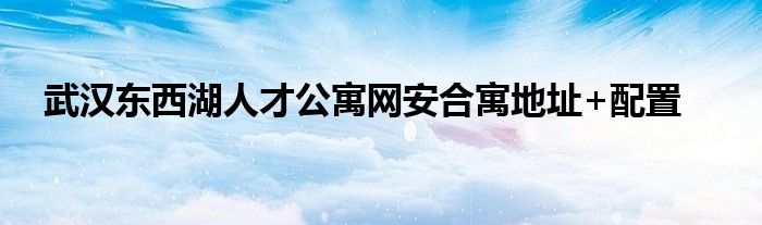 武汉东西湖人才公寓网安合寓地址+配置