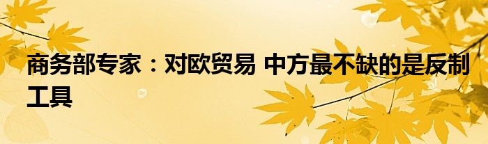 商务部专家：对欧贸易 中方最不缺的是反制工具