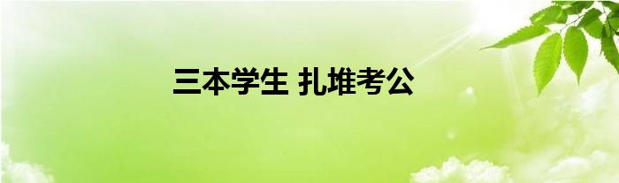 三本学生 扎堆考公