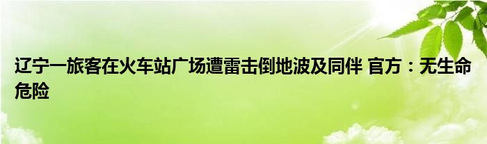 辽宁一旅客在火车站广场遭雷击倒地波及同伴 官方：无生命危险