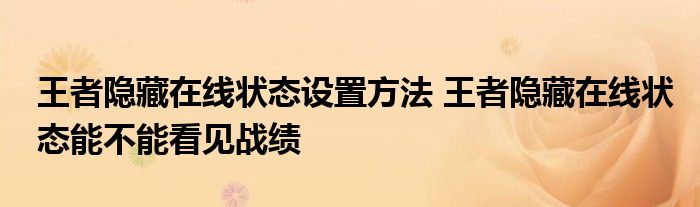 王者隐藏在线状态设置方法 王者隐藏在线状态能不能看见战绩