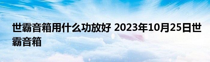 世霸音箱用什么功放好 2023年10月25日世霸音箱