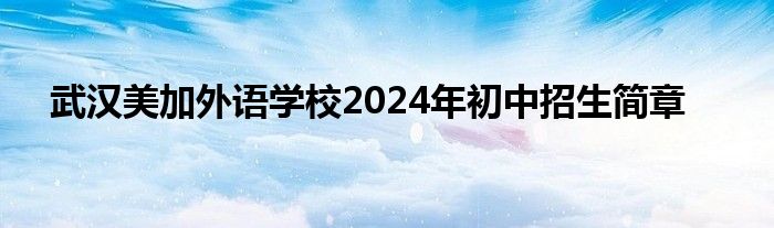 武汉美加外语学校2024年初中招生简章