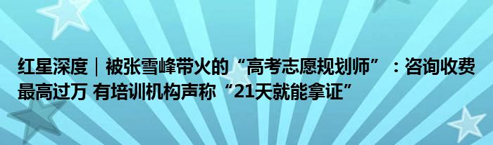 红星深度｜被张雪峰带火的“高考志愿规划师”：咨询收费最高过万 有培训机构声称“21天就能拿证”