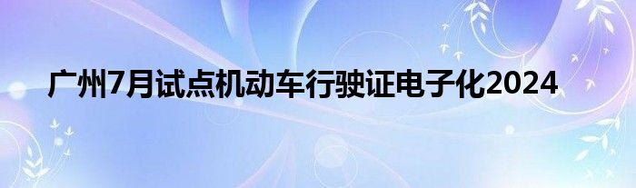 广州7月试点机动车行驶证电子化2024