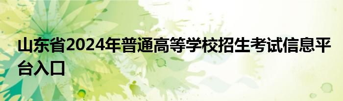 山东省2024年普通高等学校招生考试信息平台入口