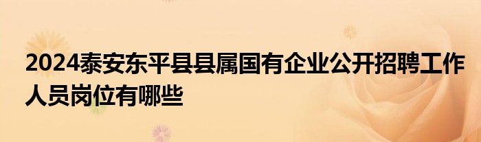 2024泰安东平县县属国有企业公开招聘工作人员岗位有哪些