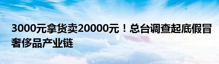 3000元拿货卖20000元！总台调查起底假冒奢侈品产业链