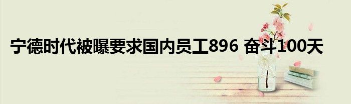 宁德时代被曝要求国内员工896 奋斗100天