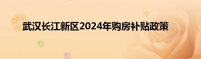 武汉长江新区2024年购房补贴政策