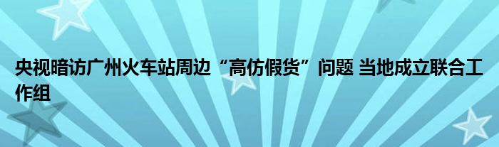 央视暗访广州火车站周边“高仿假货”问题 当地成立联合工作组