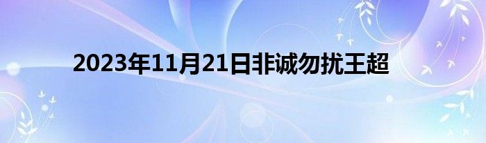 2023年11月21日非诚勿扰王超