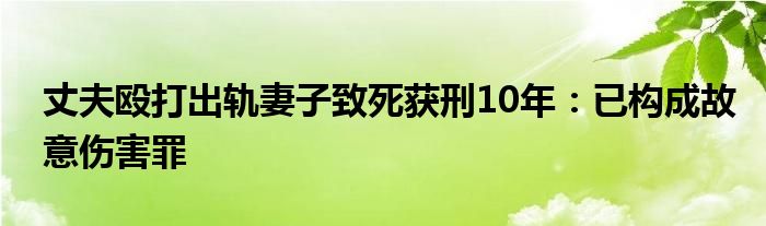 丈夫殴打出轨妻子致死获刑10年：已构成故意伤害罪