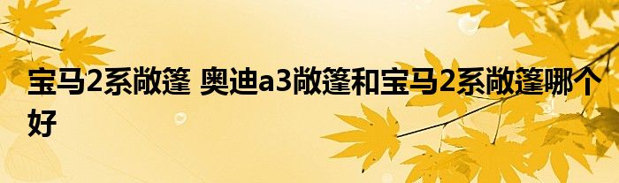 宝马2系敞篷 奥迪a3敞篷和宝马2系敞篷哪个好