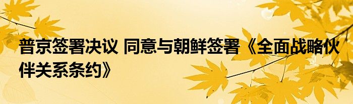 普京签署决议 同意与朝鲜签署《全面战略伙伴关系条约》