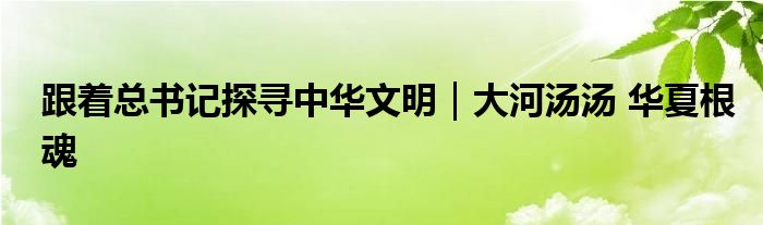 跟着总书记探寻中华文明｜大河汤汤 华夏根魂