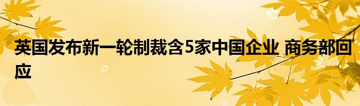 英国发布新一轮制裁含5家中国企业 商务部回应