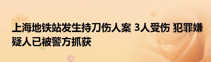 上海地铁站发生持刀伤人案 3人受伤 犯罪嫌疑人已被警方抓获