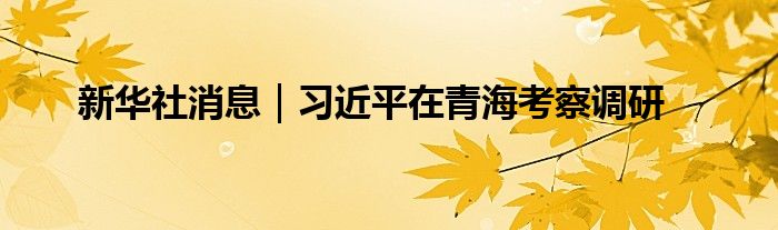 新华社消息｜习近平在青海考察调研