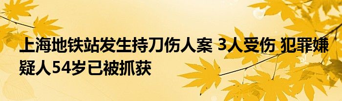 上海地铁站发生持刀伤人案 3人受伤 犯罪嫌疑人54岁已被抓获