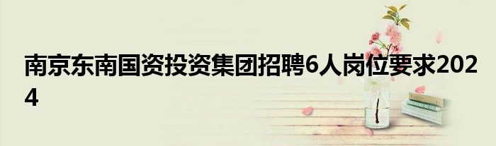 南京东南国资投资集团招聘6人岗位要求2024