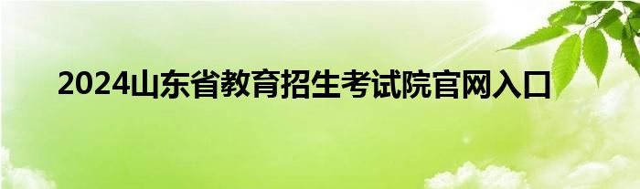 2024山东省教育招生考试院官网入口