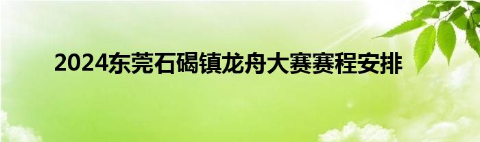 2024东莞石碣镇龙舟大赛赛程安排