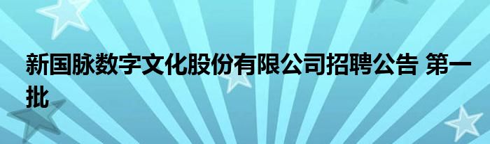 新国脉数字文化股份有限公司招聘公告 第一批