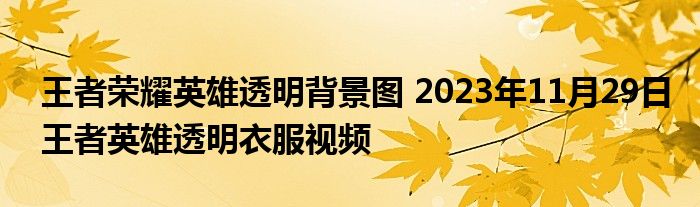 王者荣耀英雄透明背景图 2023年11月29日王者英雄透明衣服视频