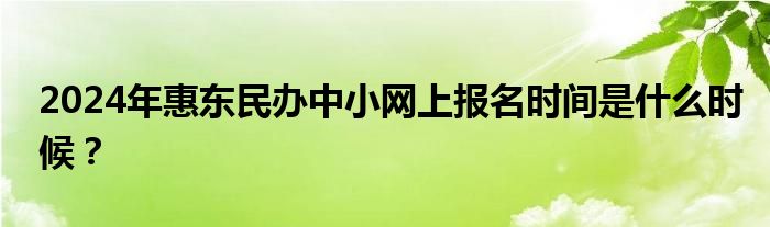 2024年惠东民办中小网上报名时间是什么时候？