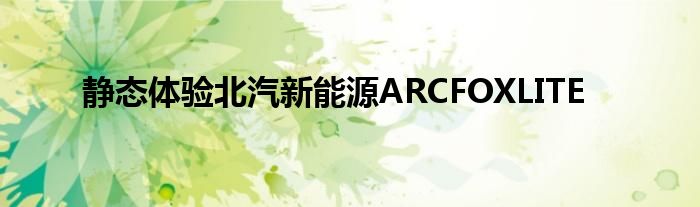 静态体验北汽新能源ARCFOXLITE