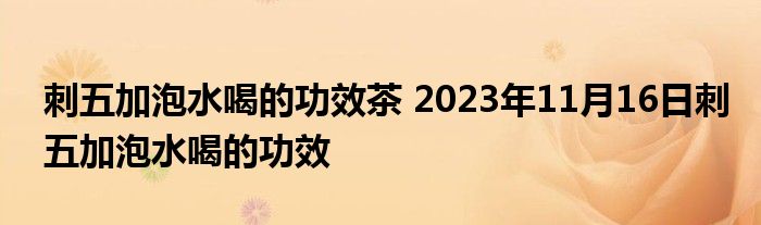 刺五加泡水喝的功效茶 2023年11月16日刺五加泡水喝的功效