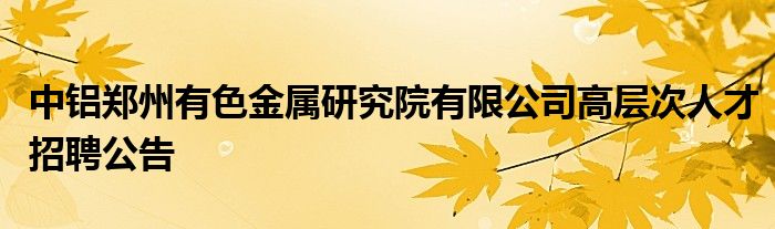 中铝郑州有色金属研究院有限公司高层次人才招聘公告