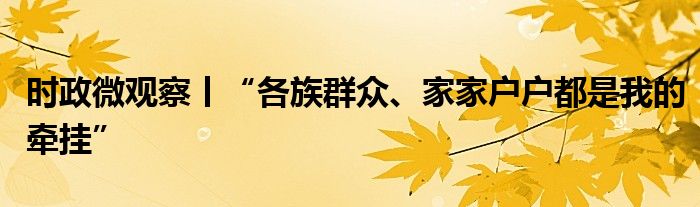 时政微观察丨“各族群众、家家户户都是我的牵挂”