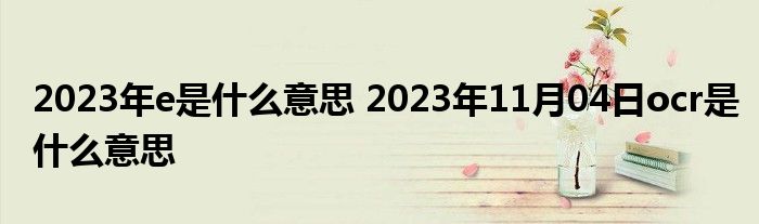 2023年e是什么意思 2023年11月04日ocr是什么意思