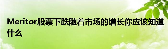 Meritor股票下跌随着市场的增长你应该知道什么