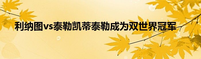 利纳图vs泰勒凯蒂泰勒成为双世界冠军