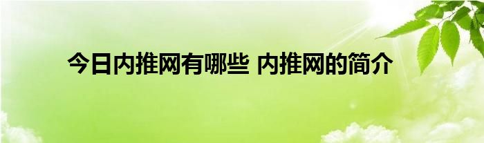 今日内推网有哪些 内推网的简介