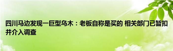 四川马边发现一巨型乌木：老板自称是买的 相关部门已暂扣并介入调查