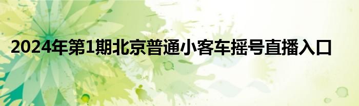 2024年第1期北京普通小客车摇号直播入口