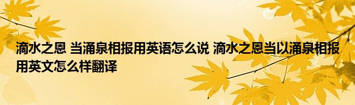 滴水之恩 当涌泉相报用英语怎么说 滴水之恩当以涌泉相报用英文怎么样翻译