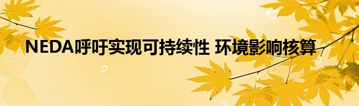 NEDA呼吁实现可持续性 环境影响核算