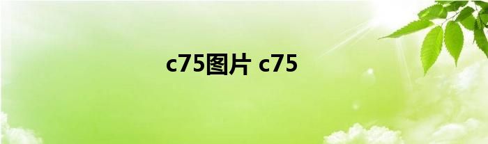 c75图片 c75