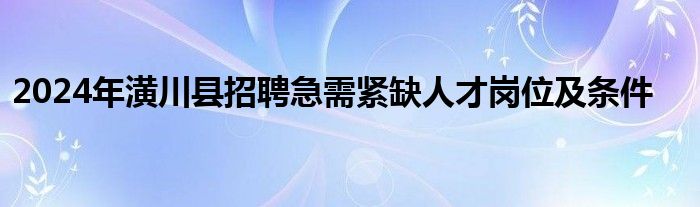 2024年潢川县招聘急需紧缺人才岗位及条件