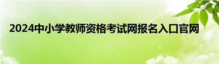 2024中小学教师资格考试网报名入口官网