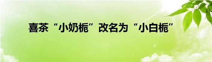 喜茶“小奶栀”改名为“小白栀”