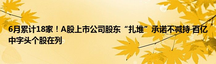 6月累计18家！A股上市公司股东“扎堆”承诺不减持 百亿中字头个股在列