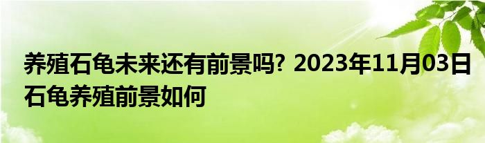 养殖石龟未来还有前景吗? 2023年11月03日石龟养殖前景如何