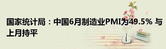 国家统计局：中国6月制造业PMI为49.5% 与上月持平